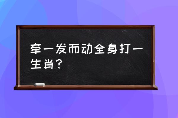 牵一发而动全身指什么 牵一发而动全身打一生肖？