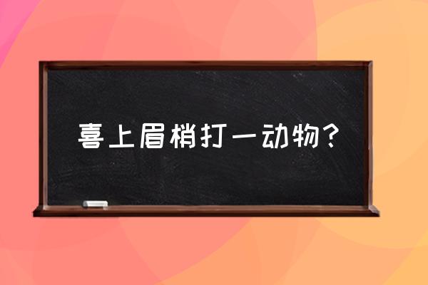 喜上眉梢打一动物 喜上眉梢打一动物？