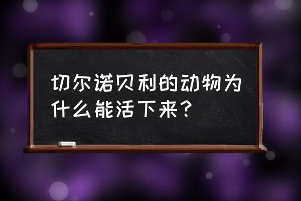 切尔诺贝利巨鼠是真的吗 切尔诺贝利的动物为什么能活下来？