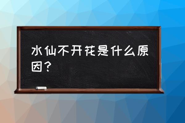 水仙不开花是不是假的 水仙不开花是什么原因？