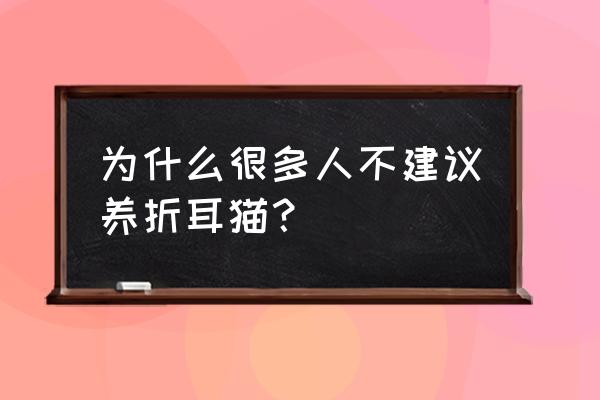 为什么不建议养折耳猫 为什么很多人不建议养折耳猫？