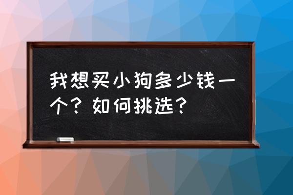 纯种沙皮狗多少钱一只 我想买小狗多少钱一个？如何挑选？