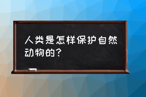 保护自然和动物 人类是怎样保护自然动物的？