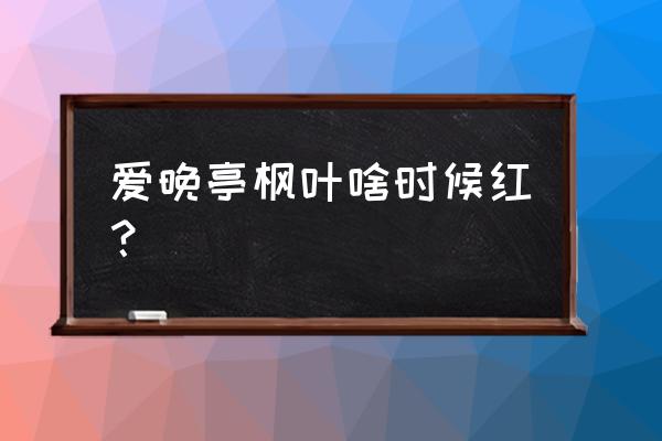 威县爱晚红枫 爱晚亭枫叶啥时候红？