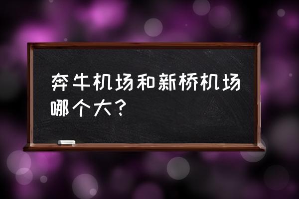 为什么叫奔牛机场 奔牛机场和新桥机场哪个大？