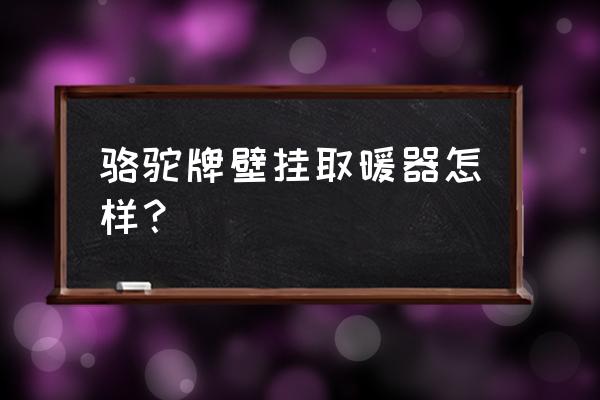 壁挂式电暖器哪种好 骆驼牌壁挂取暖器怎样？