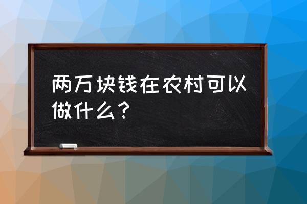 农村2万元致富项目 两万块钱在农村可以做什么？