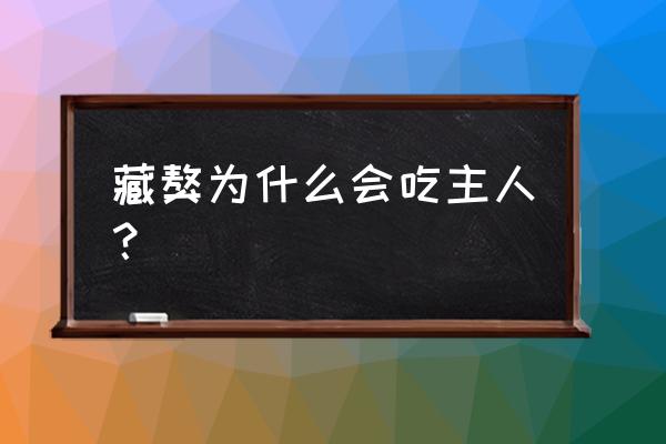 藏獒吃主人真相 藏獒为什么会吃主人？