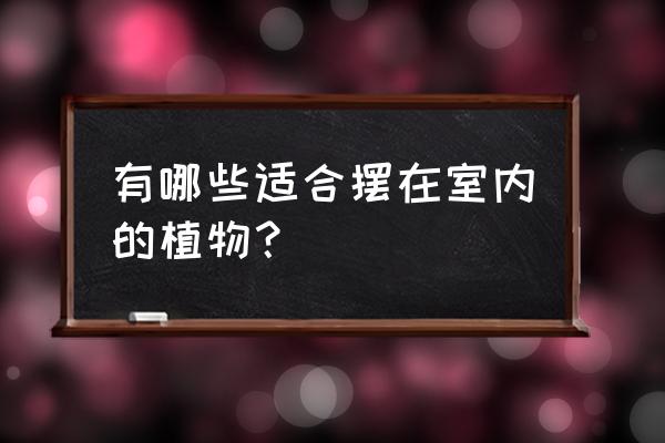 室内植物名称 有哪些适合摆在室内的植物？