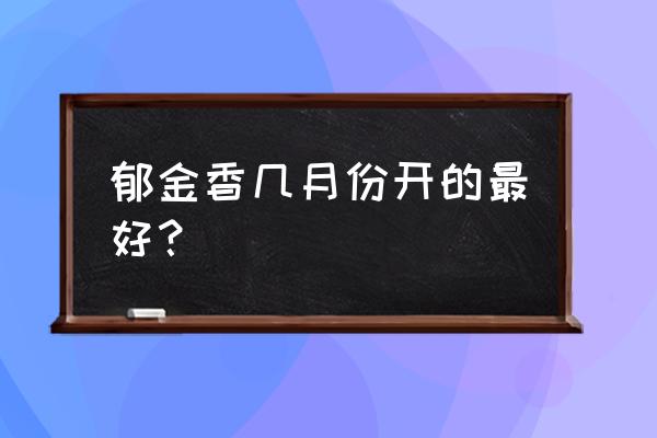 郁金香什么时候开花季节 郁金香几月份开的最好？