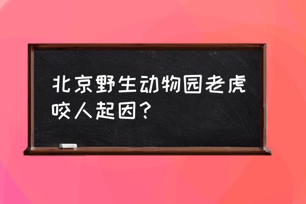 北京野生动物园咬人老虎 北京野生动物园老虎咬人起因？