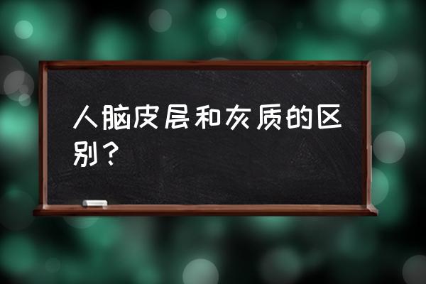 大脑皮层和大脑皮质一样吗 人脑皮层和灰质的区别？