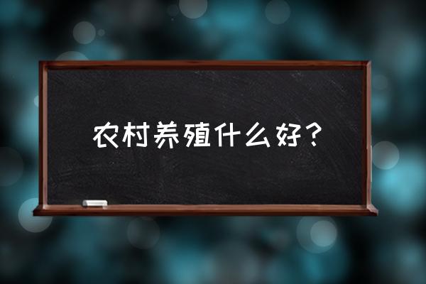 农村搞什么养殖最好 农村养殖什么好？