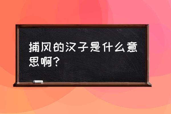 捕风的汉子谐音 捕风的汉子是什么意思啊？