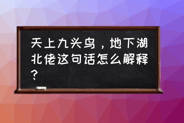 地下湖北佬的上一句 天上九头鸟，地下湖北佬这句话怎么解释？