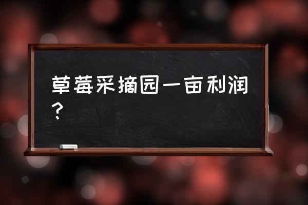 草莓采摘园挣钱吗 草莓采摘园一亩利润？