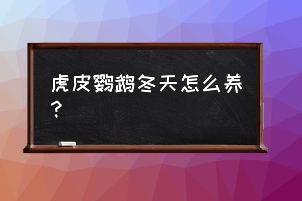 虎皮鹦鹉冬天怎么养 虎皮鹦鹉冬天怎么养？