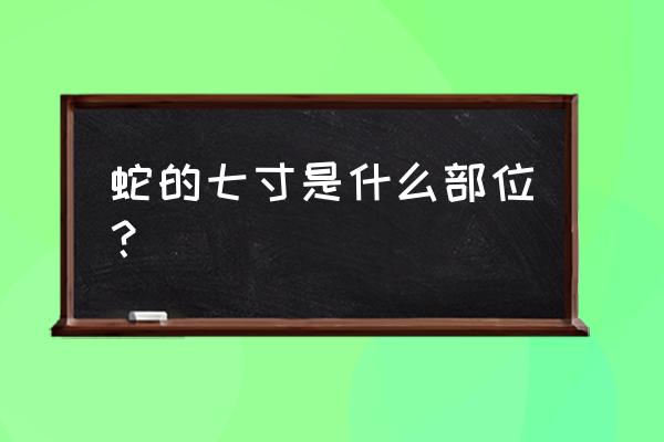 蛇的七寸是什么部位 蛇的七寸是什么部位？