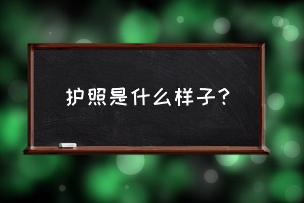 各国护照样本大全 护照是什么样子？