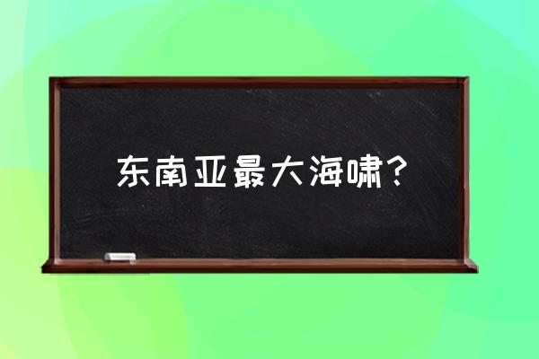 东南亚海啸高度 东南亚最大海啸？