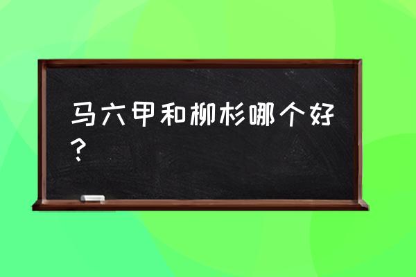 马六甲板材的优缺点 马六甲和柳杉哪个好？