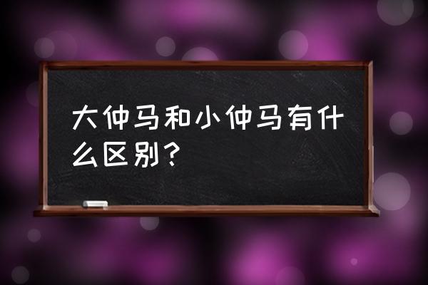 大仲马和小仲马谁厉害 大仲马和小仲马有什么区别？