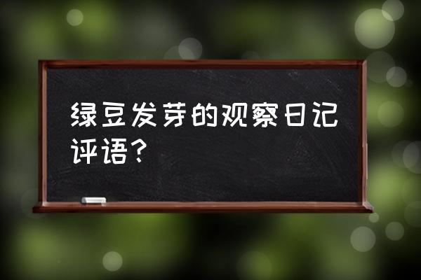 绿豆生长观察日记 绿豆发芽的观察日记评语？