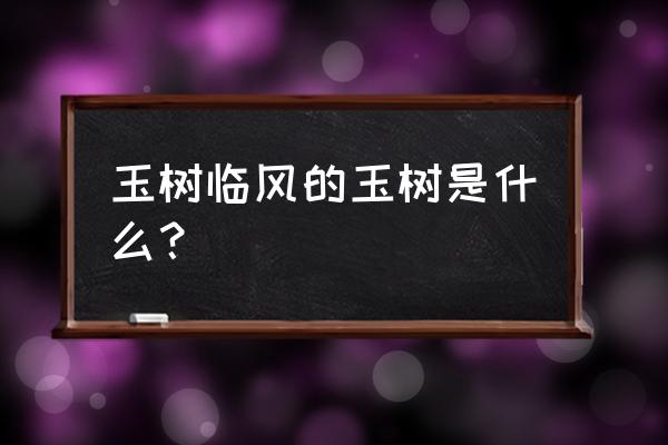 玉树临风的玉树是指什么 玉树临风的玉树是什么？