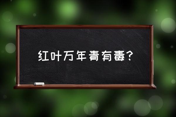 哪一种万年青有毒 红叶万年青有毒？