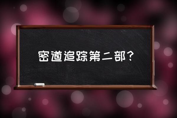 密道追踪2 密道追踪第二部？