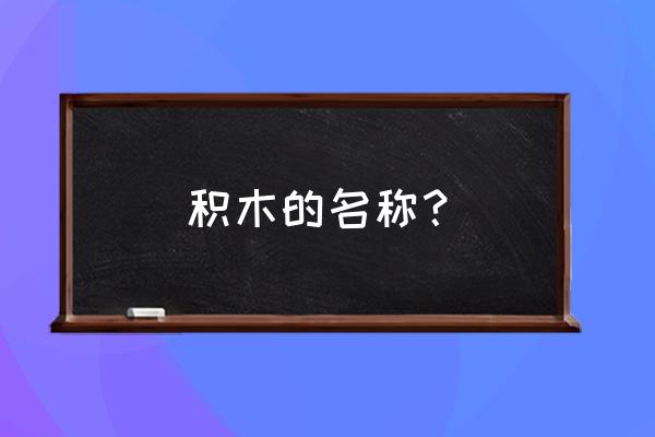 拼装积木叫什么 积木的名称？