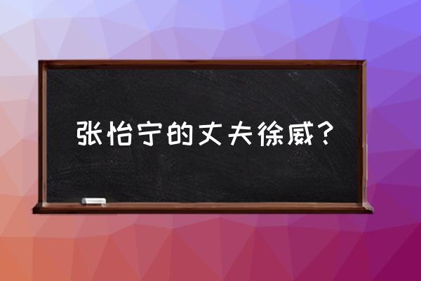 徐威金融家 张怡宁丈夫 张怡宁的丈夫徐威？