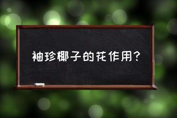 袖珍椰子树功效 袖珍椰子的花作用？