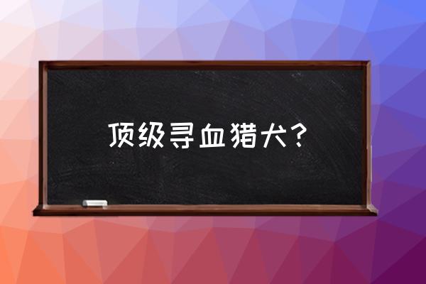 寻血猎犬有几种 顶级寻血猎犬？