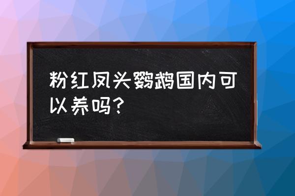 粉红凤头鹦鹉可以养吗 粉红凤头鹦鹉国内可以养吗？