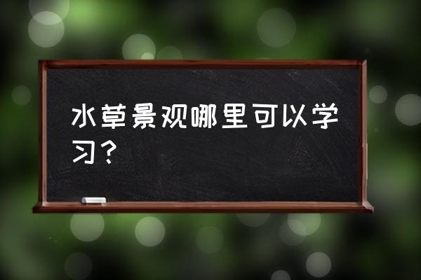 南美水族安卓版 水草景观哪里可以学习？