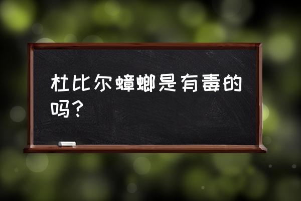 杜比亚蟑螂对人有害吗 杜比尔蟑螂是有毒的吗？