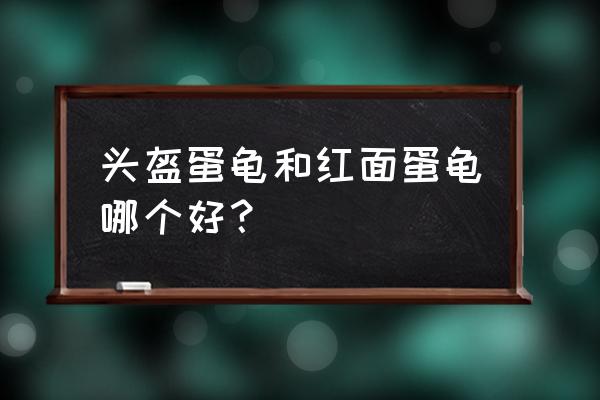 东方蛋龟和头盔蛋龟的区别 头盔蛋龟和红面蛋龟哪个好？