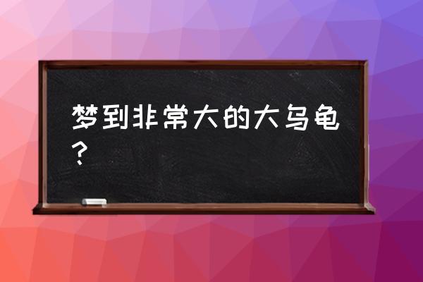 男人梦见乌龟 梦到非常大的大乌龟？