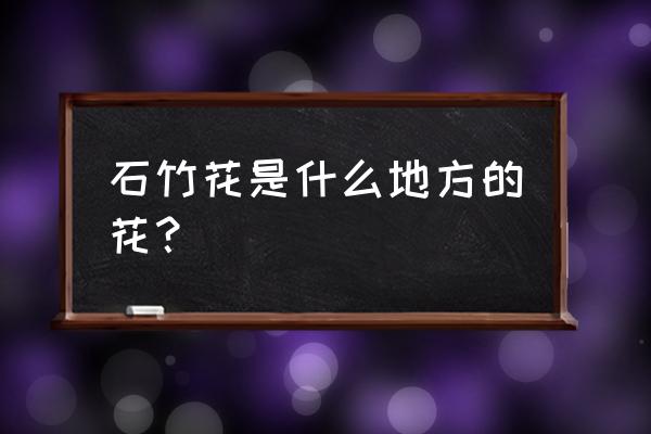 石竹花简介 石竹花是什么地方的花？