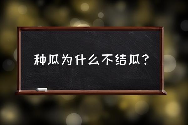 种瓜不一定得瓜 种瓜为什么不结瓜？