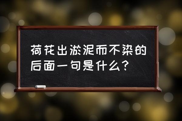 出泥而不染的下一句 荷花出淤泥而不染的后面一句是什么？