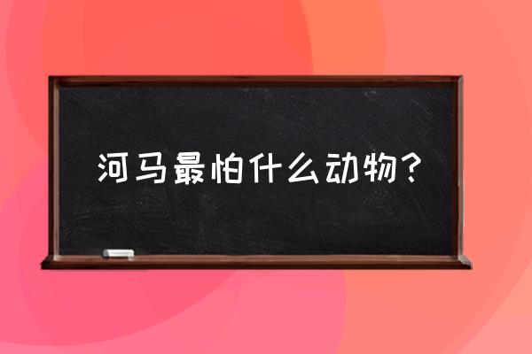 河马最怕什么动物 河马最怕什么动物？