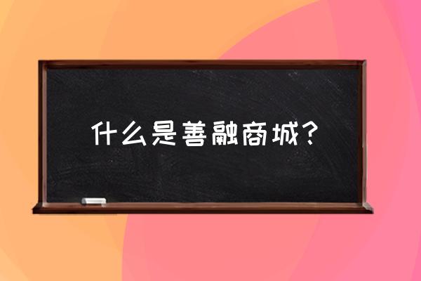 善融商务企业商城 什么是善融商城？