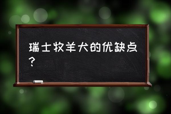 白色瑞士牧羊犬优缺点 瑞士牧羊犬的优缺点？