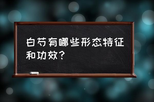 生白芍的功效与作用及禁忌 白芍有哪些形态特征和功效？