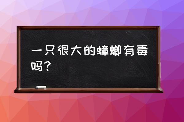 古巴蟑螂有毒吗 一只很大的蟑螂有毒吗？