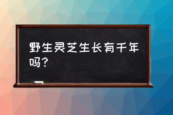 千年灵芝越久越好吗 野生灵芝生长有千年吗？