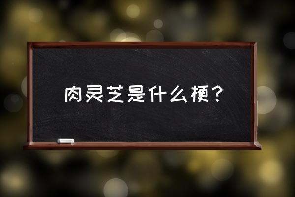 肉灵芝是什么东西 肉灵芝是什么梗？