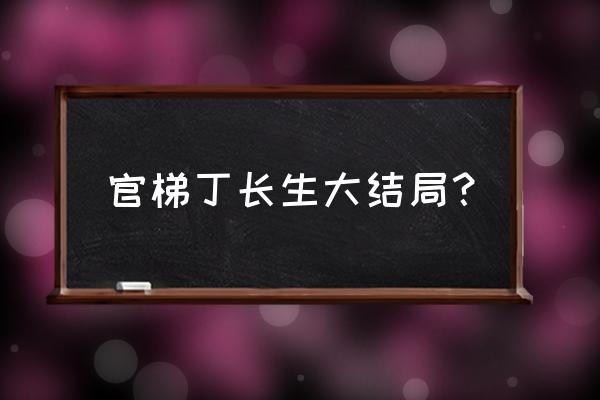 丁长生《通天之梯》 官梯丁长生大结局？